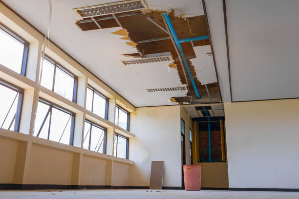 Best Water damage restoration process  in South Hempstead, NY