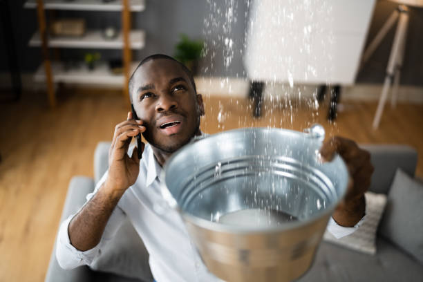 Best Ceiling water damage repair  in South Hempstead, NY