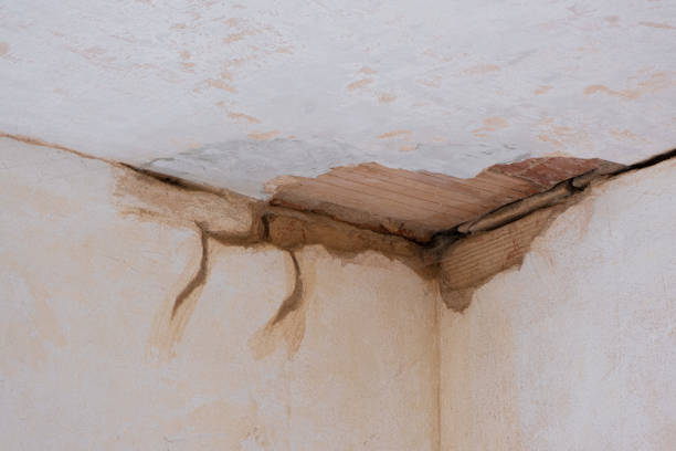 Best Sewage cleanup and water damage restoration  in South Hempstead, NY