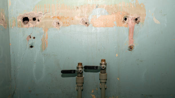 Best Commercial water damage restoration  in South Hempstead, NY